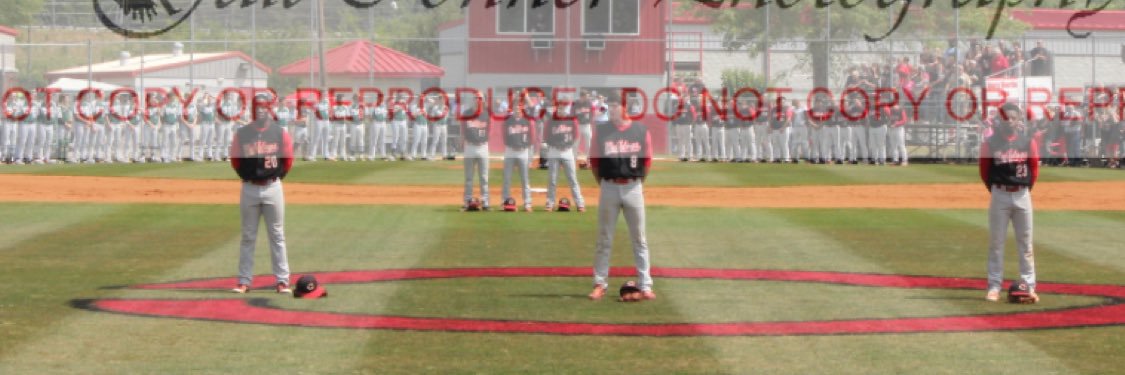 Cedartown Baseball banner