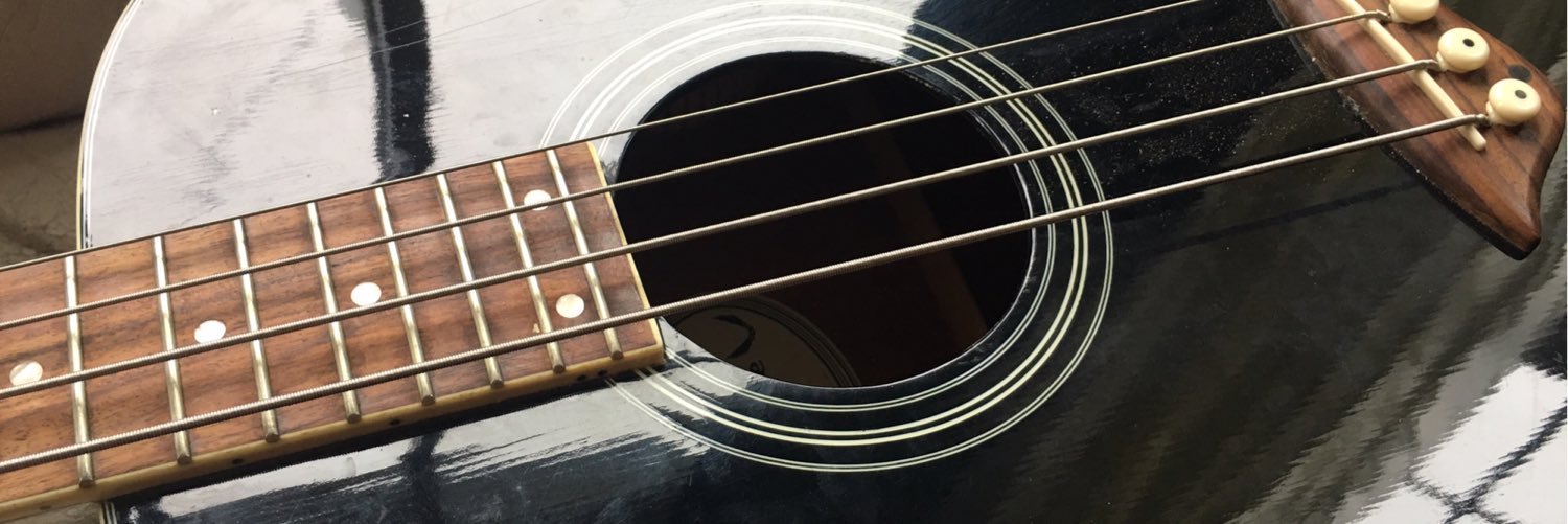 TheGoodMusicGal's profile banner image