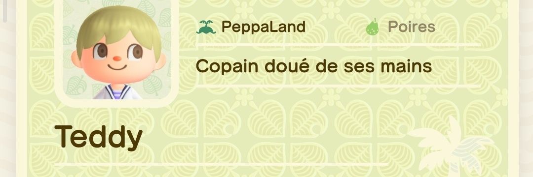 Teddy Nogntem 🇨🇵🇹🇭 banner