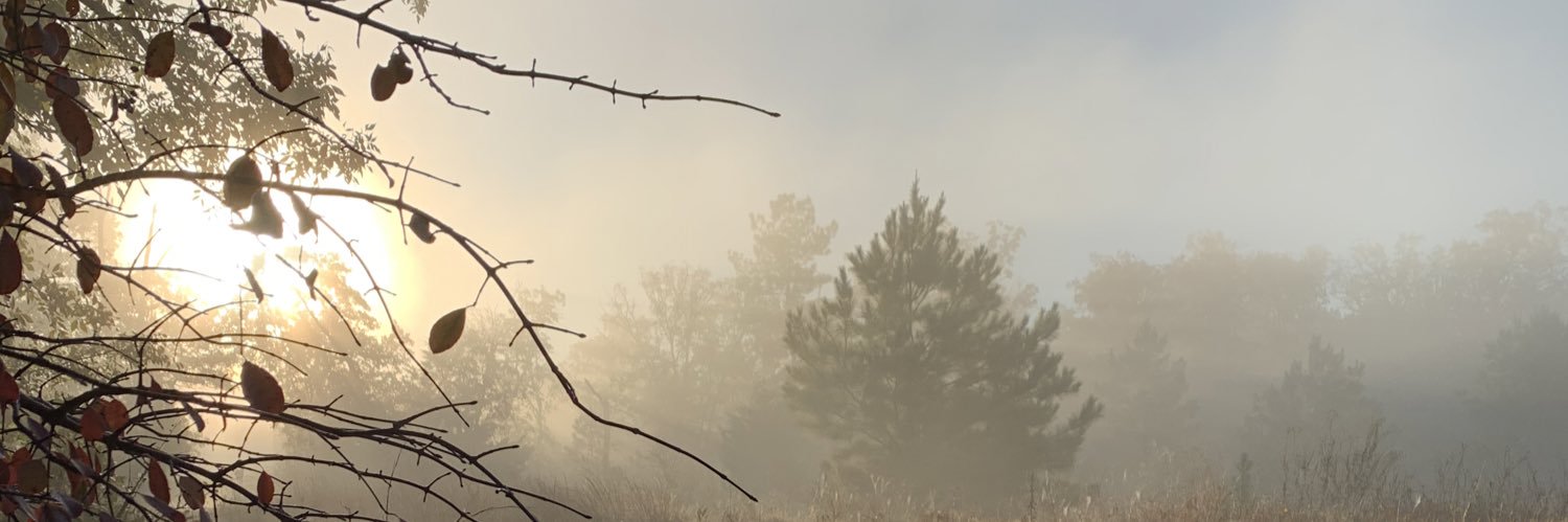 tablawhorn's profile banner image