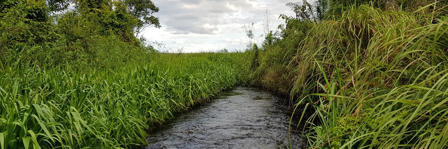 Global Environment Centre banner