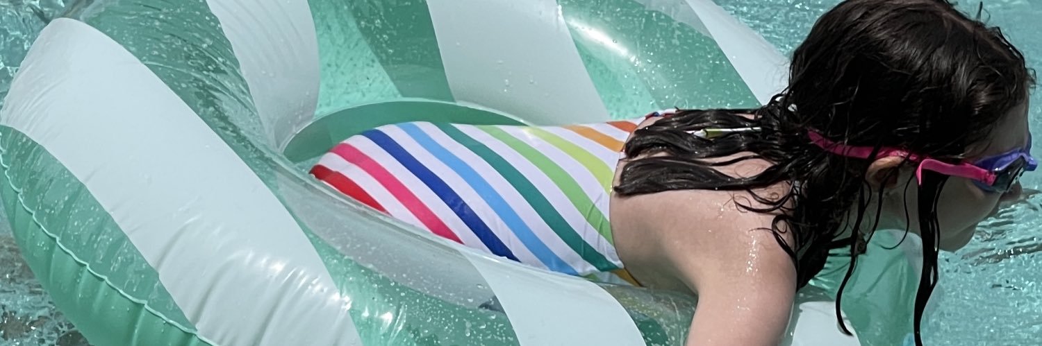 LilliRoseRittne's profile banner image