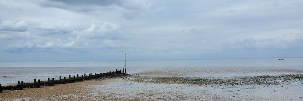 laurabesley Profile Banner