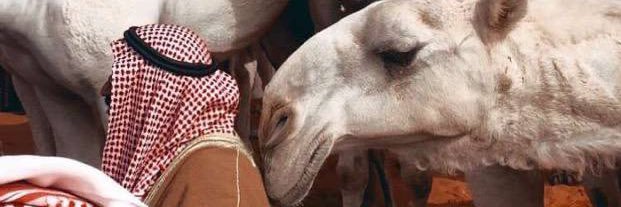 FAHAD🇸🇦 banner