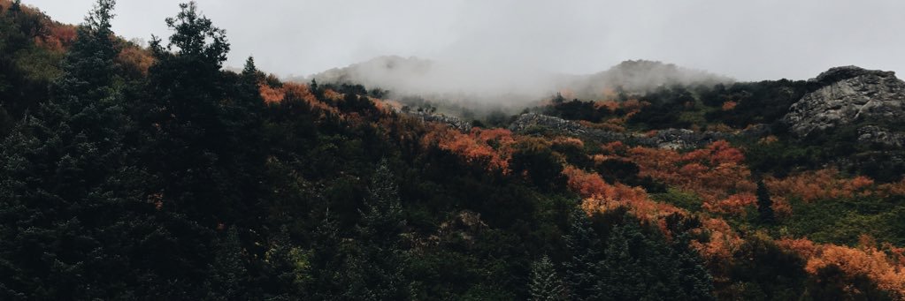 ka_elsie's profile banner image