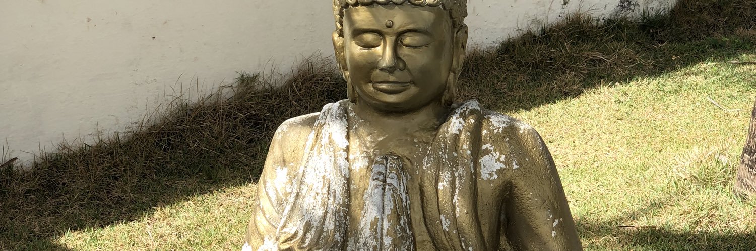 nathyzinha 🐆 banner