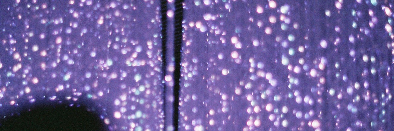 savannah banner
