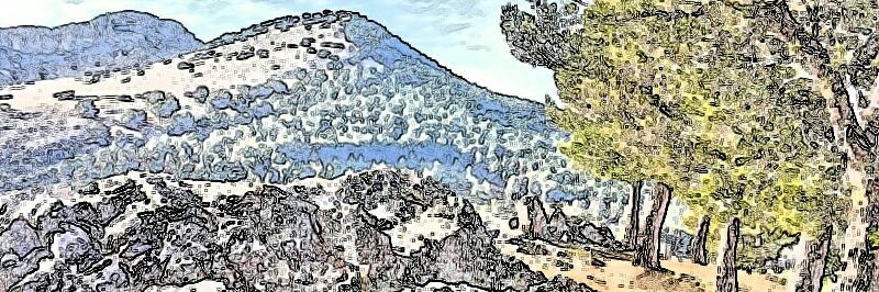 josmar1211's profile banner image