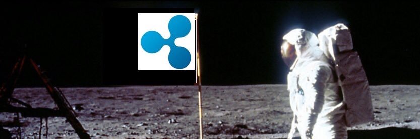 Paragon333 banner