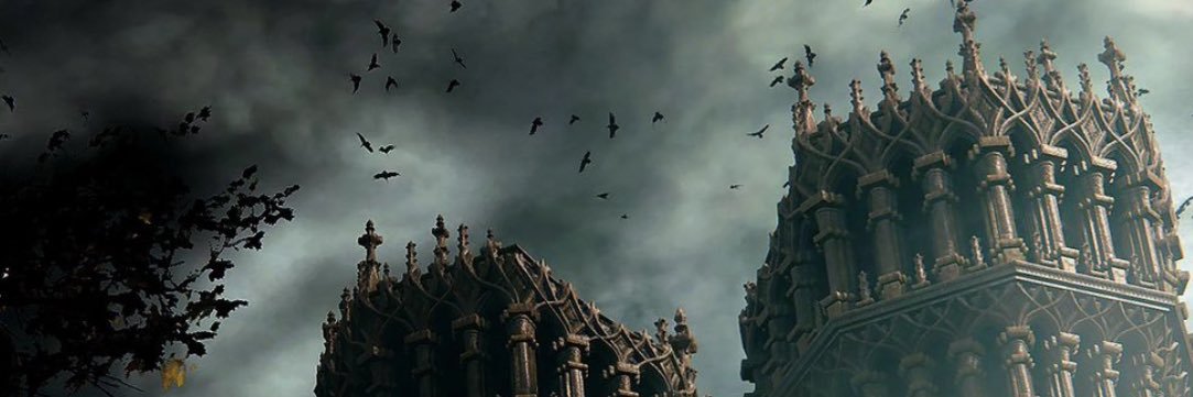 KC DoDo banner