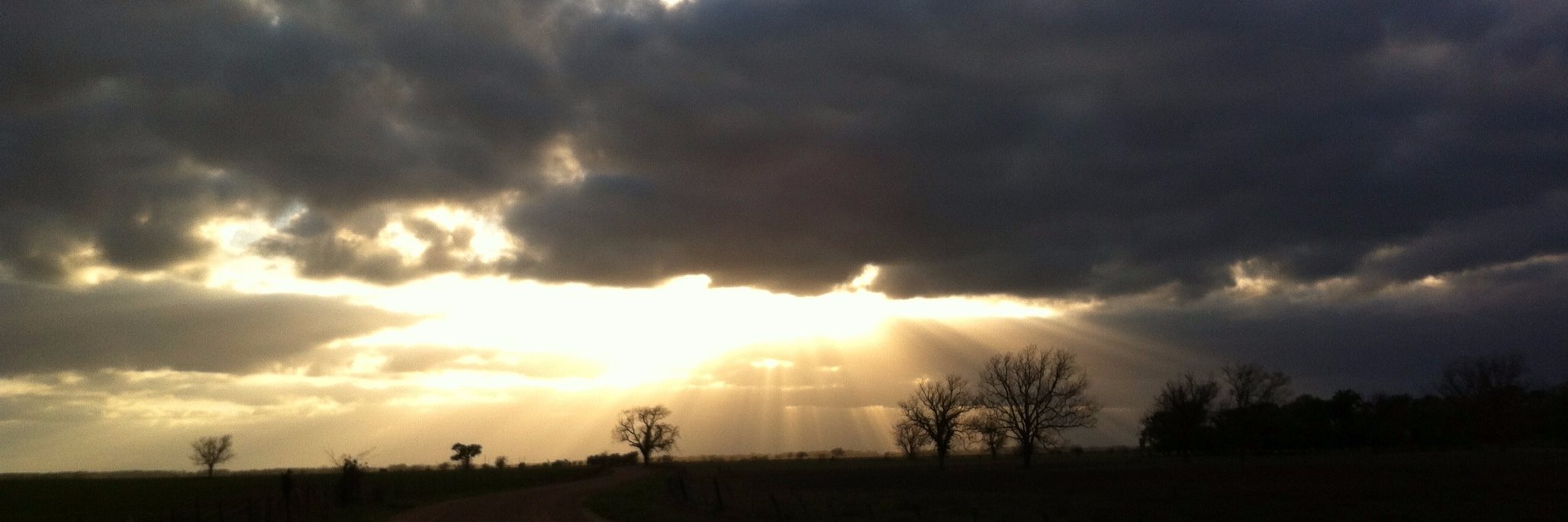 WashCo Extension banner