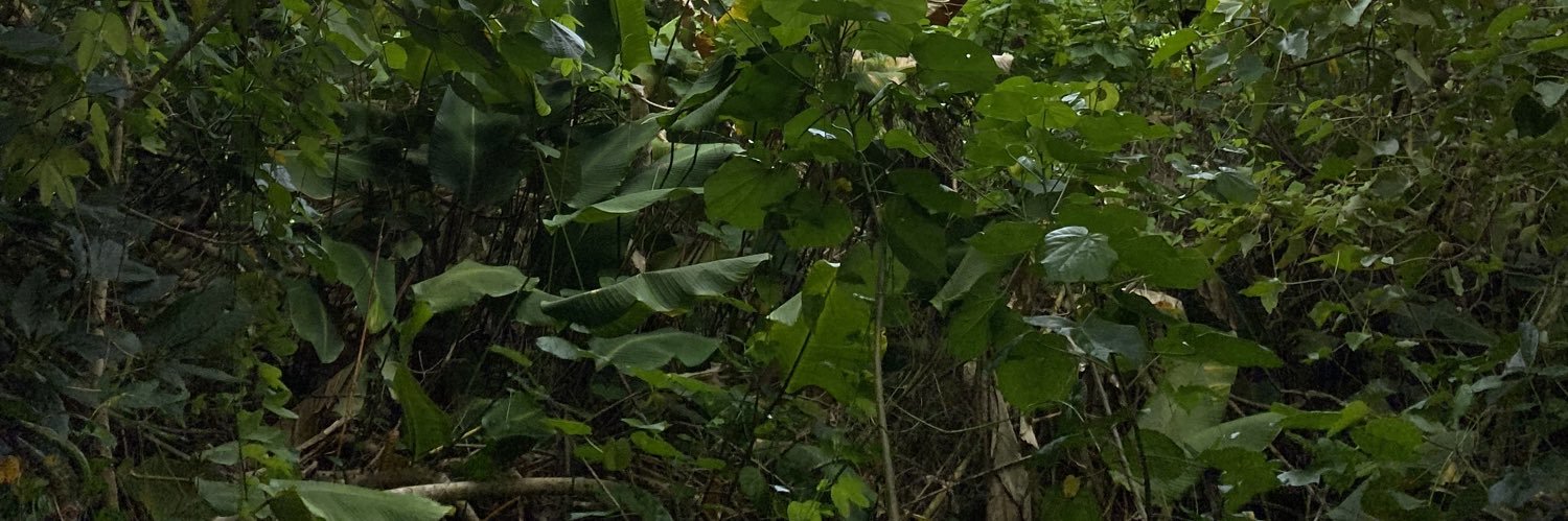 Strappy83's profile banner image
