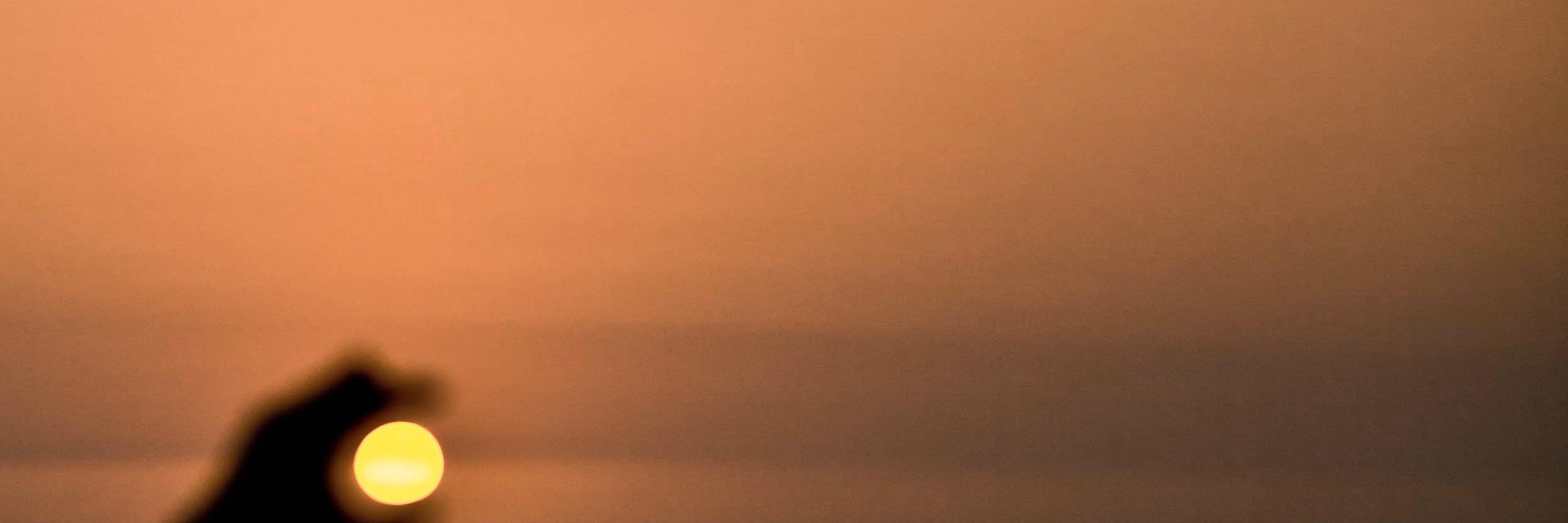 maxhassan's profile banner image