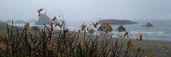 dankobah Profile Banner