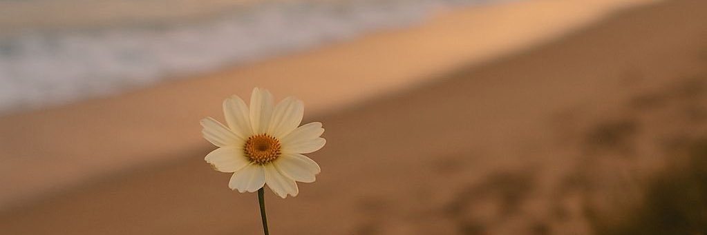 shooh110's profile banner image