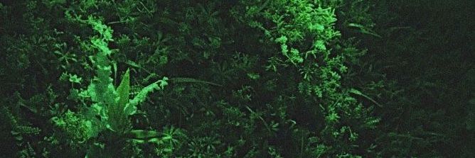 X0eee's profile banner image