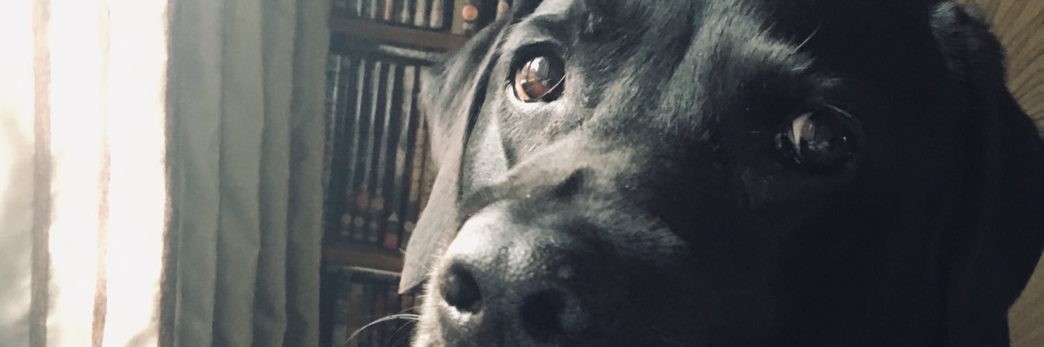 punksville999's profile banner image