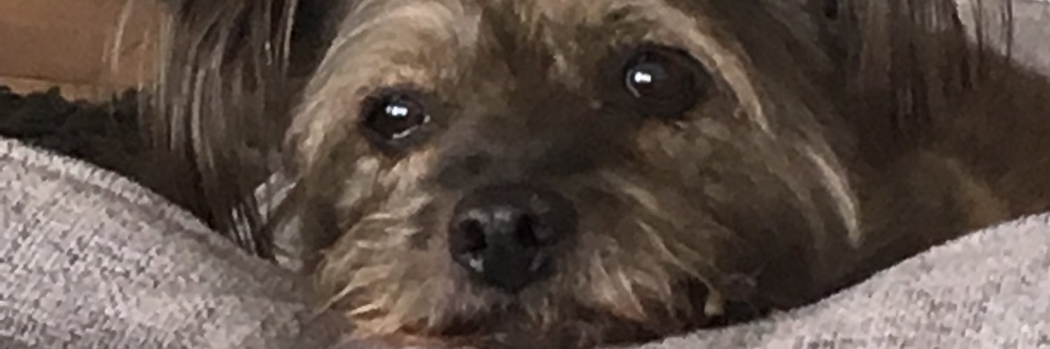 supa1234's profile banner image