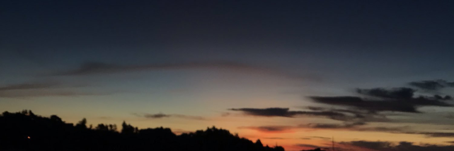 Rafael Franceschi banner