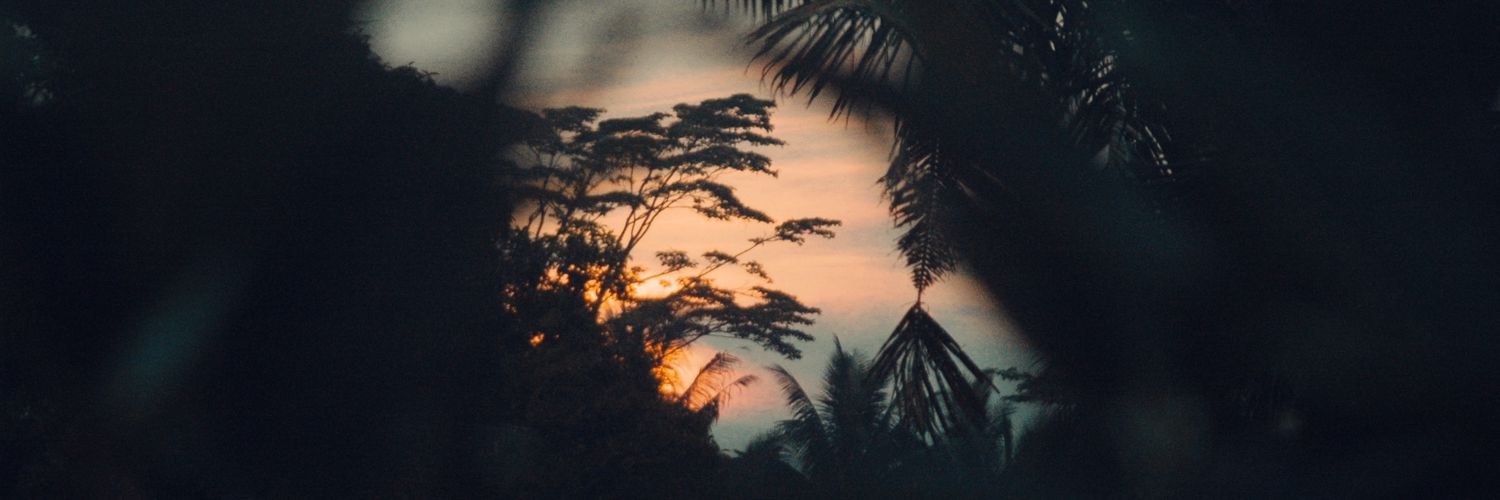 netypinto's profile banner image