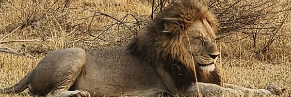 Zarug Profile Banner