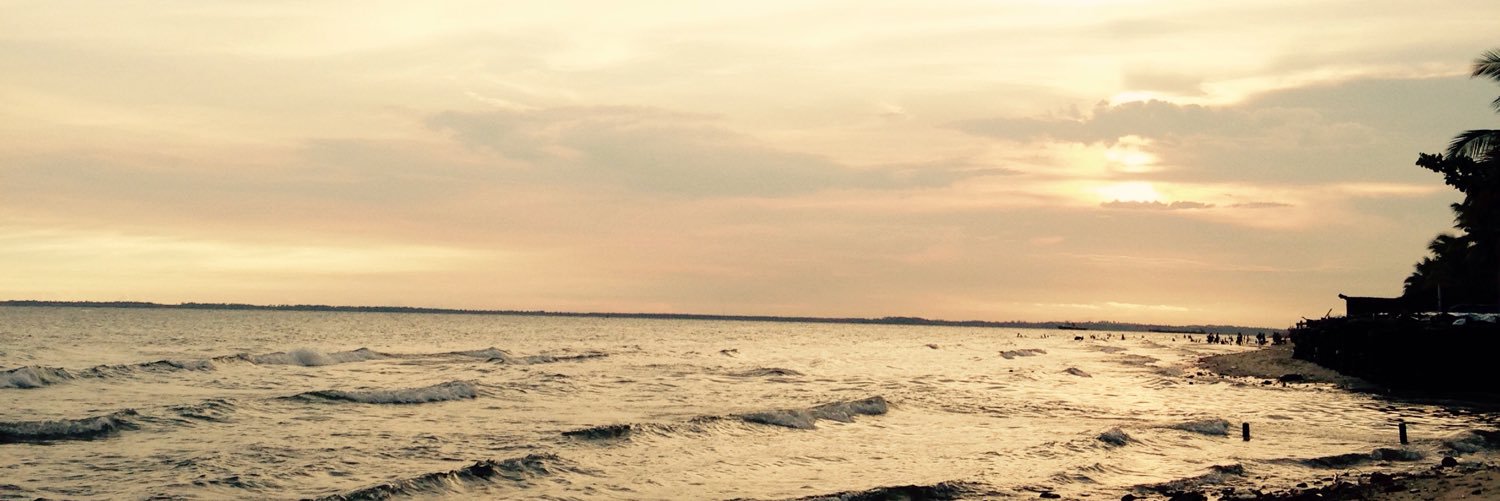 desifriani's profile banner image
