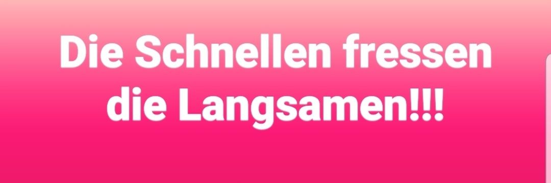 AlexanderLiebma's profile banner image