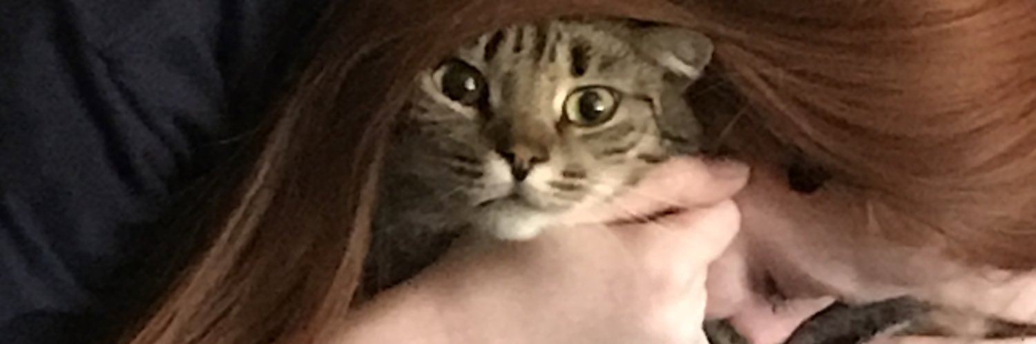 Loupreme banner