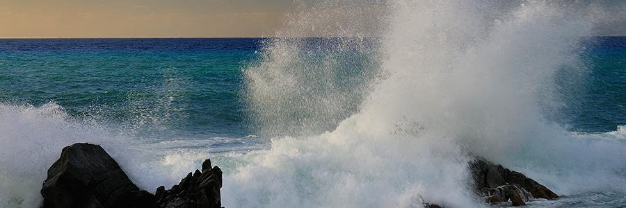 Francesco Gabbrielli banner