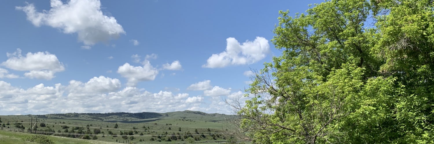 🌾 Ivan 🌾's banner