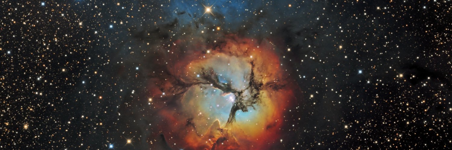 CorryBilby's profile banner image