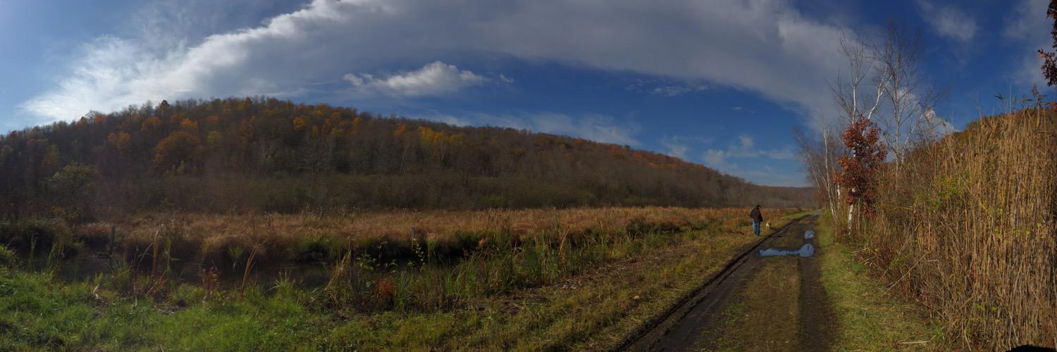 brittswin's profile banner image