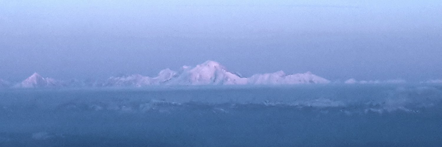 David Weissbrodt banner