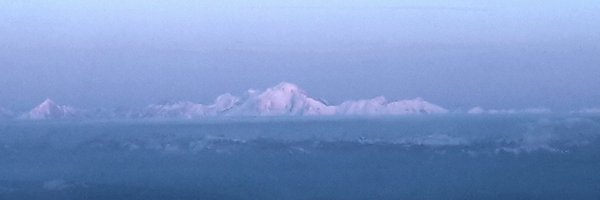 WeissbrodtLab Profile Banner