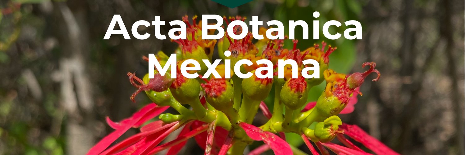 ActaBotMex's profile banner image