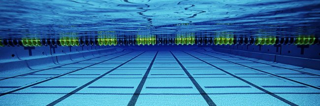 DSHS Tiger Swimming and Diving banner