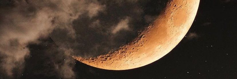 bebas roaming banner