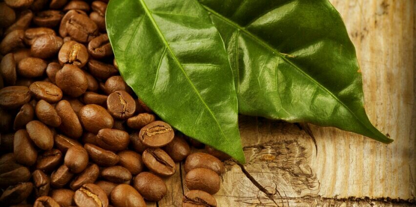 BC_StreetCoffee's profile banner image