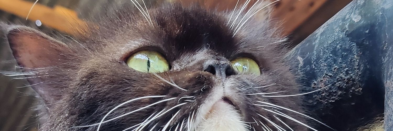 clagrita's profile banner image