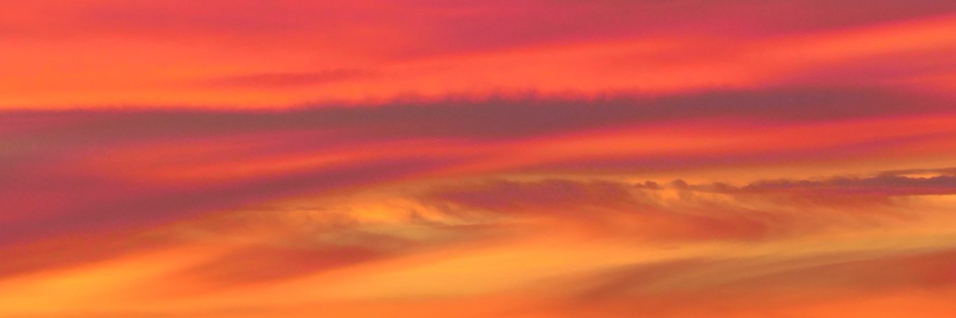 Isabelle Cornish banner