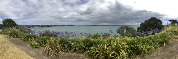 maplecove69 Profile Banner