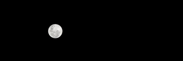 imsilverfoxy Profile Banner