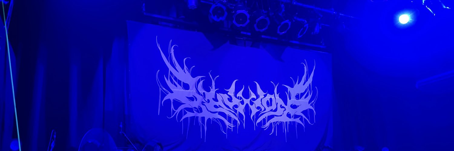 paononen's profile banner image