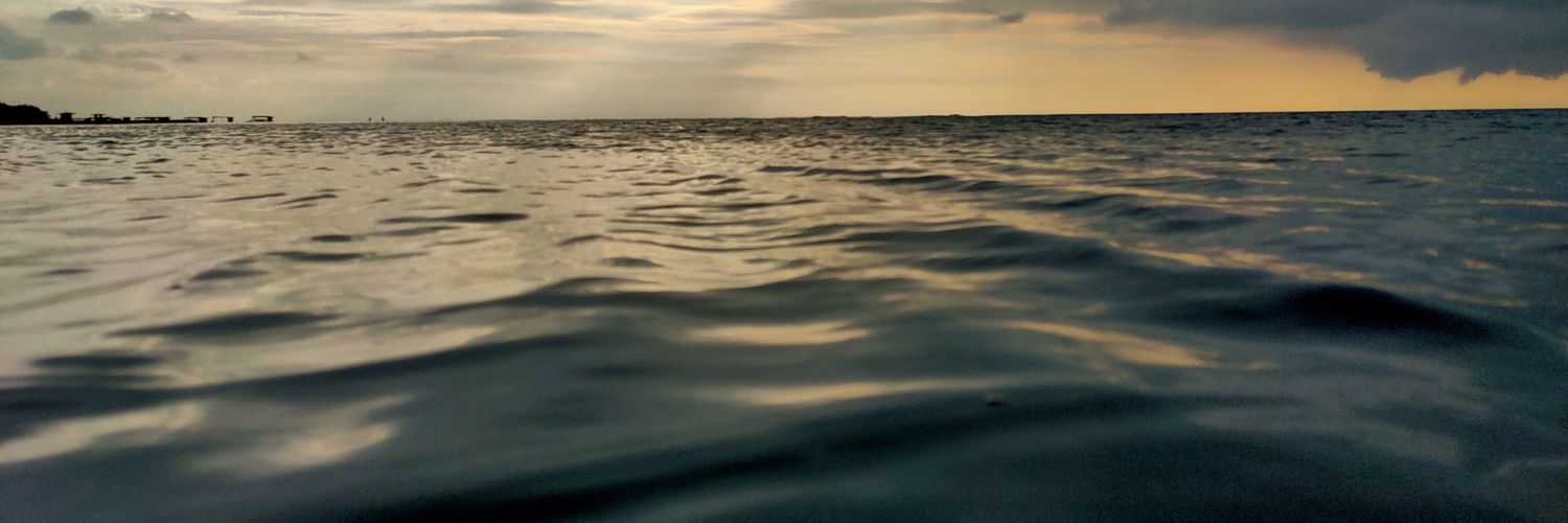 JCarlosP16's profile banner image