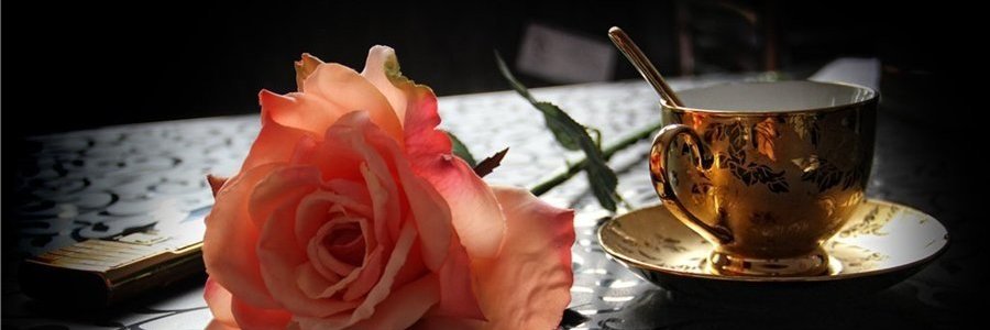 LarDröz banner
