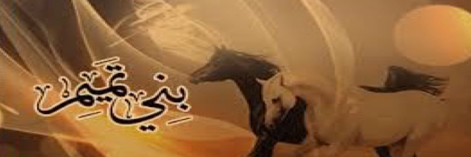 bnitamem's profile banner image