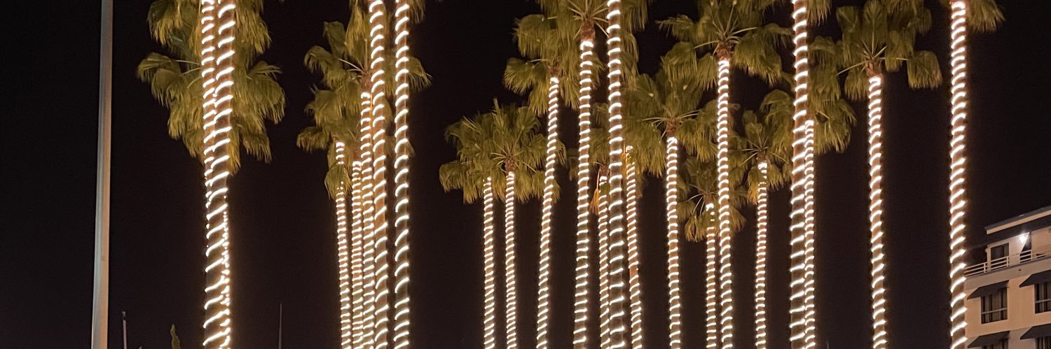 Tequila Mockingbird banner