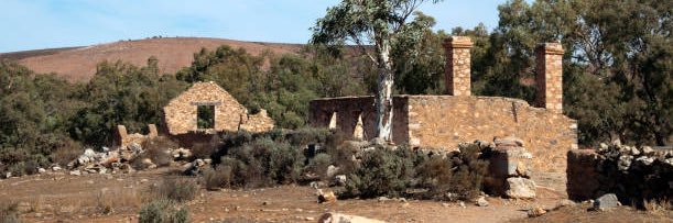 Leo ‘Nomad’ Noctis banner