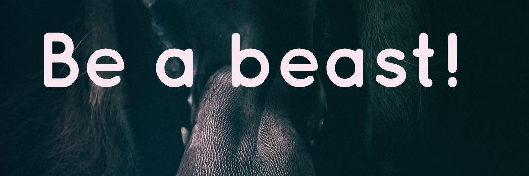 beabeastbydee's profile banner image
