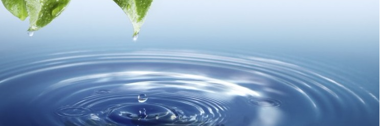 SEMiLLA Sanitation banner